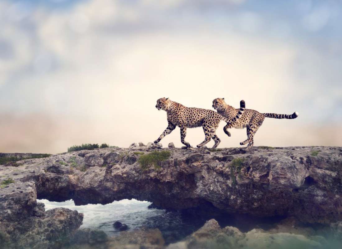 Destination-img